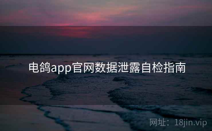 电鸽app官网数据泄露自检指南  第1张