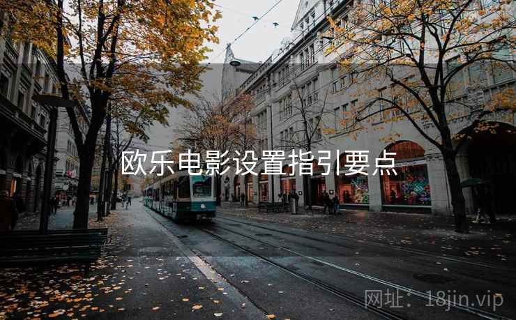 欧乐电影设置指引要点 第1张 欧乐电影设置指引要点 第1张
